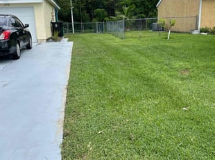 Bryan W.'s Lawn Mowing Service service result