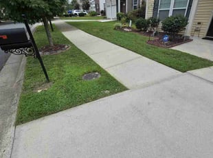 George H.'s Lawn Maintenance service result