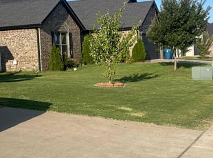 Carolyn O.'s Grass Cutting service result