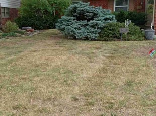 Leaf Removal by Shawn Lynch for Janet N. in Indianapolis, IN