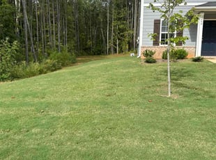 Darwin H.'s Lawn Mowing service result