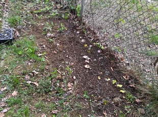 Leaf Removal by Desean Bennett for Tracey A. in Oxon Hill, MD