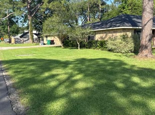 Leroy Tina F.'s Lawn Mowing service result