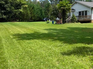 Joseph C.'s Lawn Mowing service result