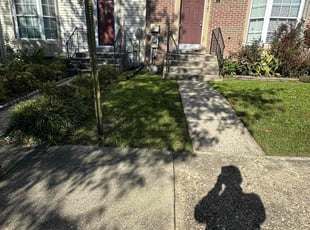 Anthony B.'s Grass Cutting service result