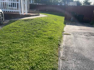 Danie D.'s Lawn Service service result