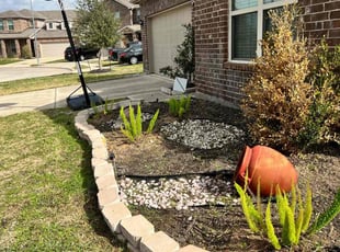 Weeding by Edwin Fernandez for Jasmine C. in Katy, TX