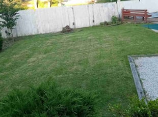 Stephen R.'s Lawn Care service result