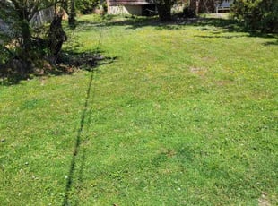 Frank H.'s Yard Cutting service result