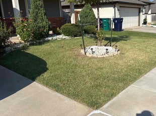 Jennifer L.'s Lawn Maintenance service result