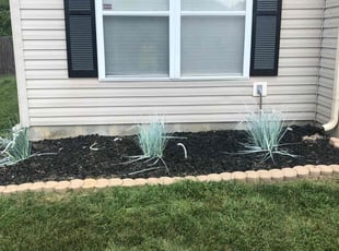 Weeding by Schadrac Sainvil for Eric C. in Indianapolis, IN