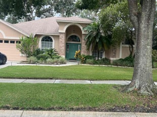 Jeffrey M.'s Lawn Care service result