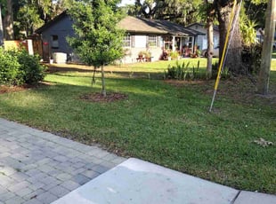 Lori T.'s Lawn Care service result