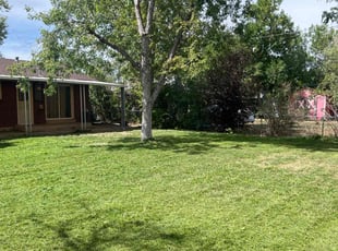 Marion C.'s Grass Cutting service result