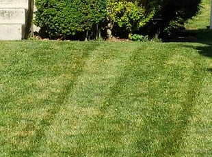 Bush Trimming by Kevin Philips for Mark B. in Cincinnati, OH