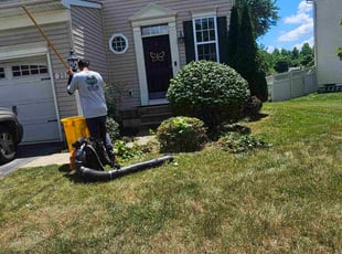 Bush Trimming by Yobani Benitez for Anne B. in Riviera Beach, MD