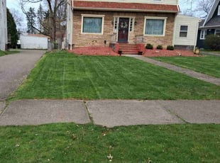 Darren Y.'s Lawn Care service result