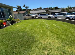Dawn L.'s Lawn Service service result