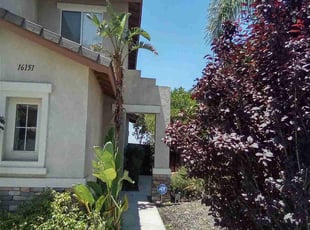 Bush Trimming by Brenden Henderson for John C. in Riverside, CA