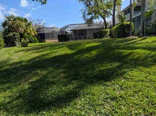 Jose C.'s Lawn Care service result