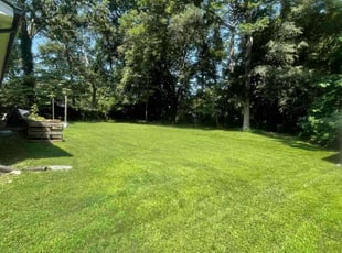 Gwen G.'s Lawn Mowing Service service result