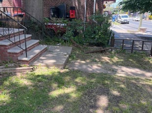 Bush Trimming by Richard Ellison for Marilyn B. in Elizabeth, NJ