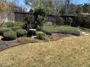Weeding by Preston McNeely for Paul S. in Helotes, TX
