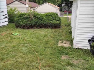 Bush Trimming by De'von Wardlow-Williams for Nick H. in Milwaukee, WI