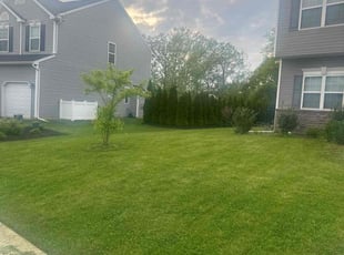 Jane W.'s Lawn Mowing Service service result