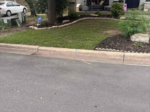 Leaf Removal by Christopher Aguilar for Nicole L. in Buda, TX