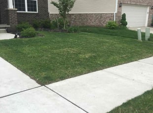 Agboola O.'s Lawn Mowing Service service result