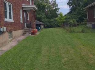 Cris P.'s Lawn Mowing service result