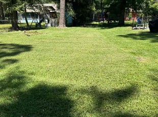 Kaylah W.'s Lawn Mowing service result