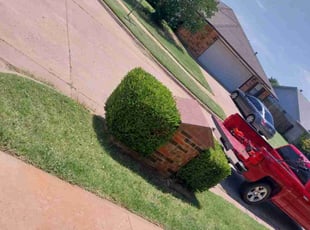 Bush Trimming by Tony Rodriguez for Karen P. in Oklahoma City, OK
