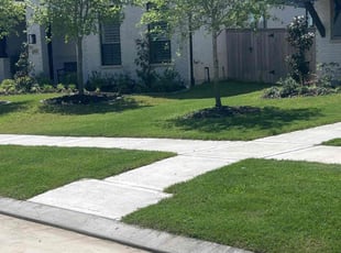 Gabriel N.'s Grass Cutting service result