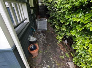 Leaf Removal by Bradley Whittaker for Michael D. in Seattle, WA
