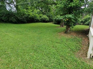 Mark B.'s Lawn Service service result