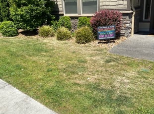Weeding by Nick Lopez for Janae M. in Vancouver, WA