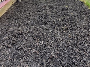 Mulching by Percy Esteban Perez for Cheryl l. in Boston, MA