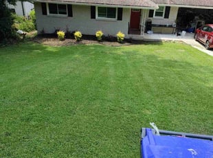 Gene F.'s Lawn Mowing Service service result