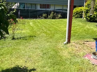 Christopher H.'s Lawn Mowing service result