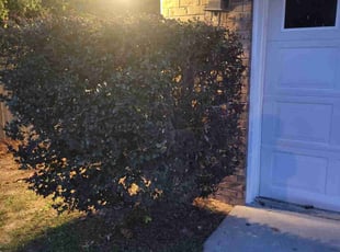 Bush Trimming by Maurice Dubose for Lawrence S. in Pensacola, FL