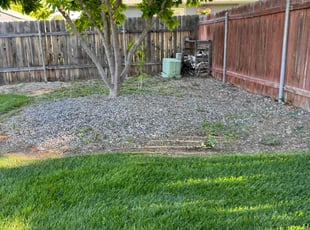 Bush Trimming by Michael Aldrich for Kristin L. in Meridian, ID