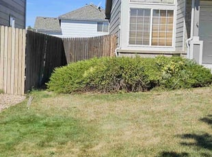 Bush Trimming by Joshua Hines for William B. in Aurora, CO