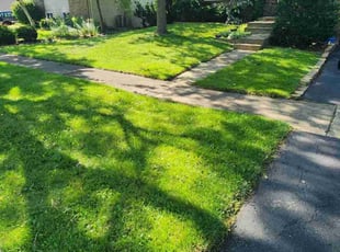 Steve A.'s Lawn Service service result