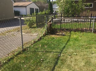 Leaf Removal by David Gallaway for Yvonne A. in Saint Paul, MN