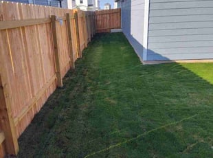 Wilma H.'s Lawn Mowing Service service result