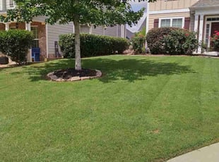 Natalie P.'s Lawn Care service result