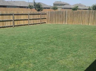 Heather L.'s Yard Cutting service result