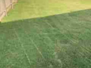 Cleanups by Emma Perales for Brandon J. in Fort Worth, TX